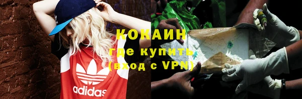 ГАЛЛЮЦИНОГЕННЫЕ ГРИБЫ Балахна