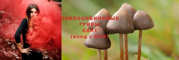 скорость Баксан