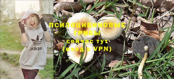 ГАЛЛЮЦИНОГЕННЫЕ ГРИБЫ Балахна