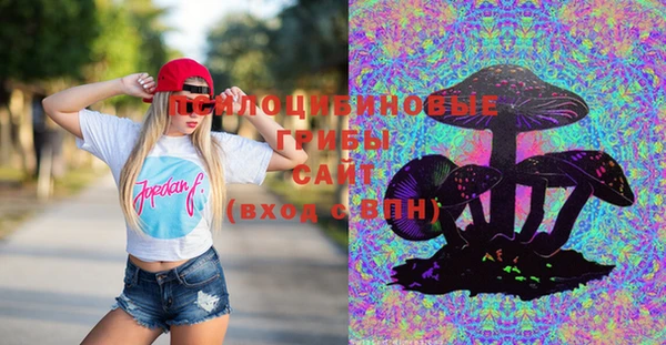ГАЛЛЮЦИНОГЕННЫЕ ГРИБЫ Балахна